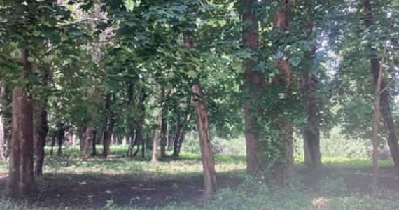 Ground-Up cashout loan funded for single family home in Long Island NY with $1,830,000 loan and $1,500,000 construction budget